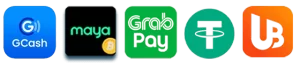 PISOKING payment method page displaying multiple secure deposit and withdrawal options